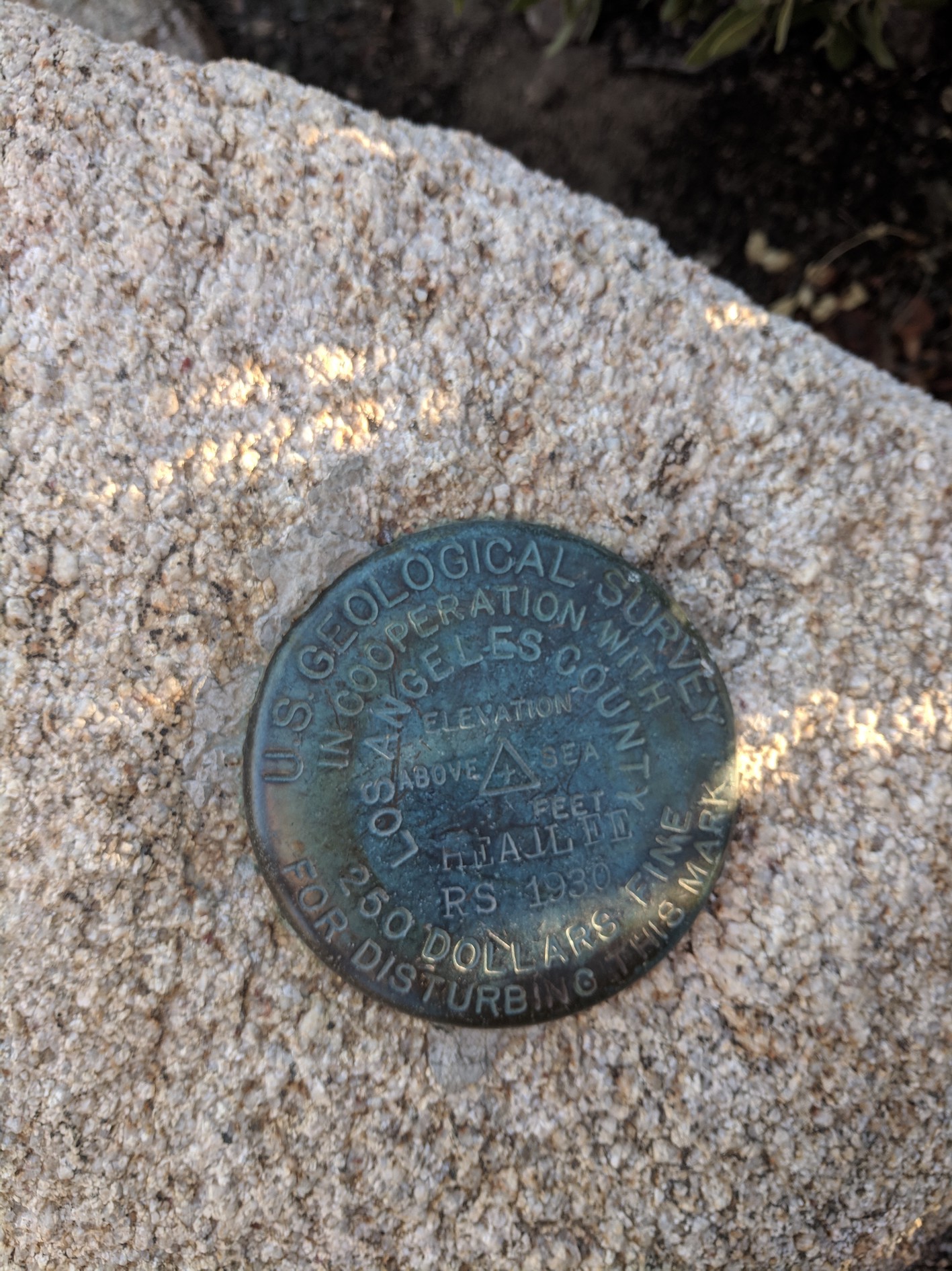 IMG_20181107_154947-resized