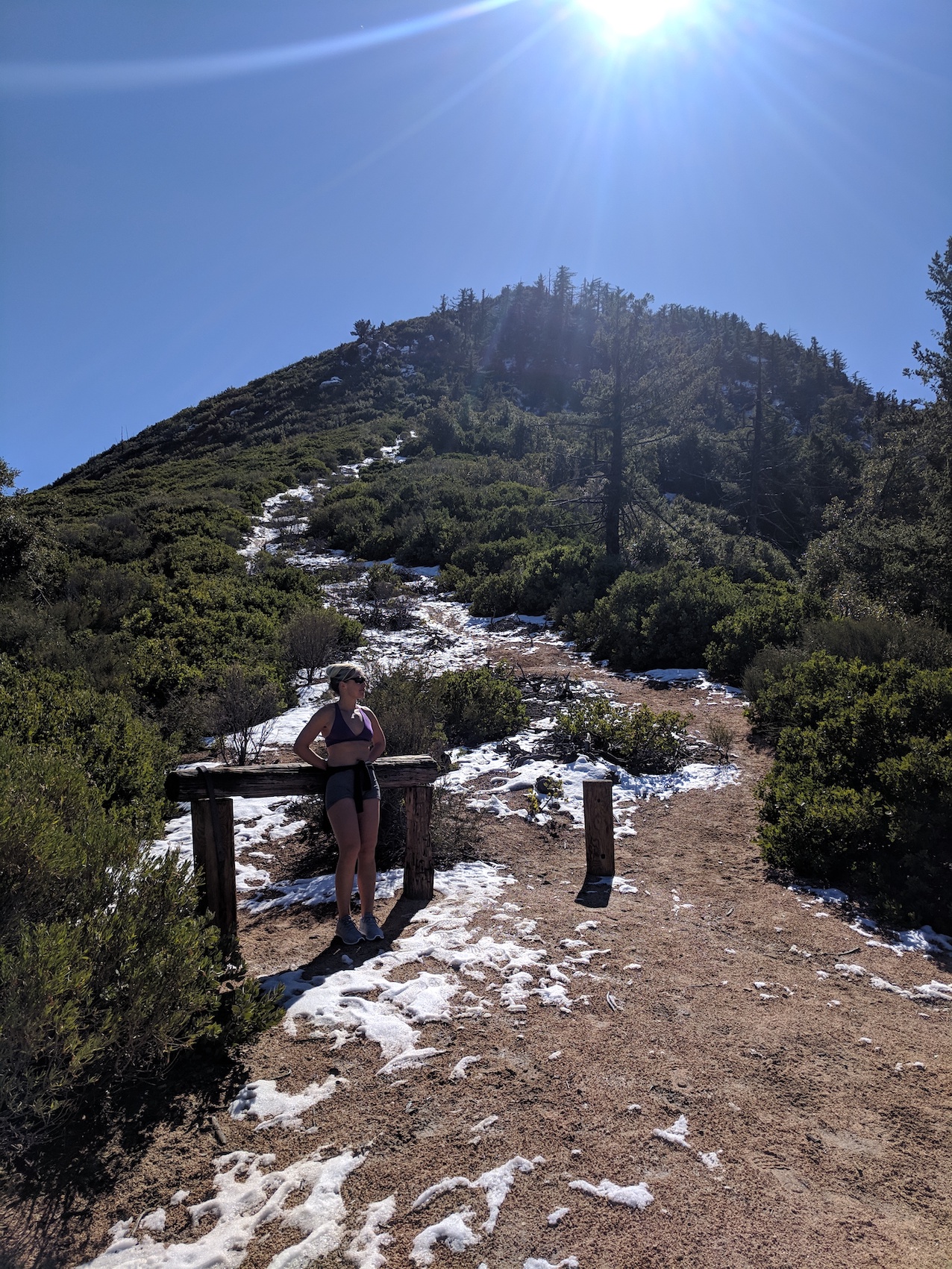 IMG_20190211_124233-resized