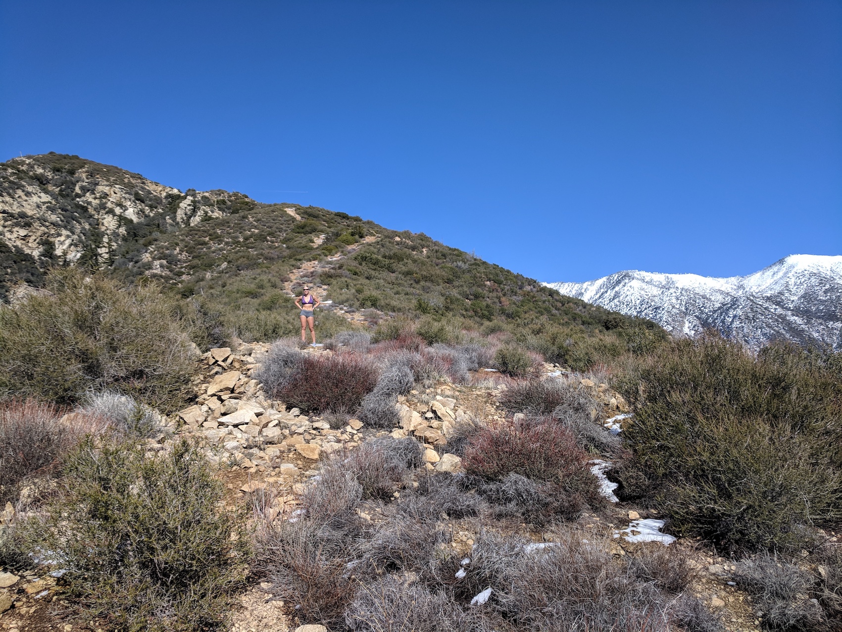 IMG_20190211_130605-resized