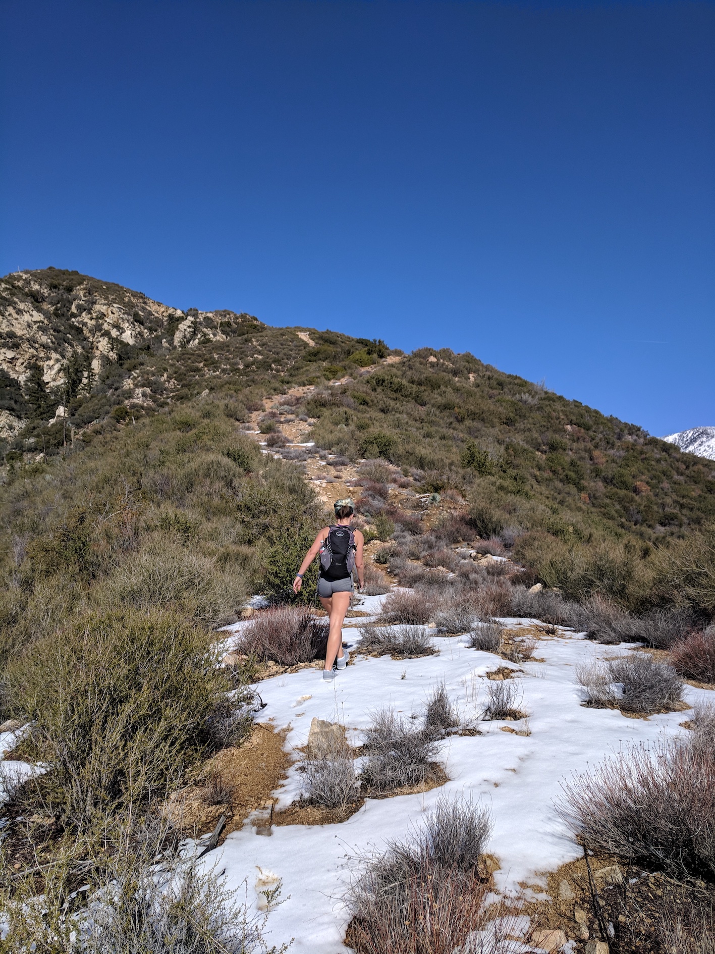 IMG_20190211_130658-resized