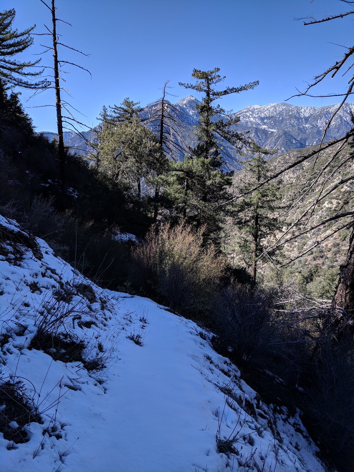 IMG_20190211_135259-resized