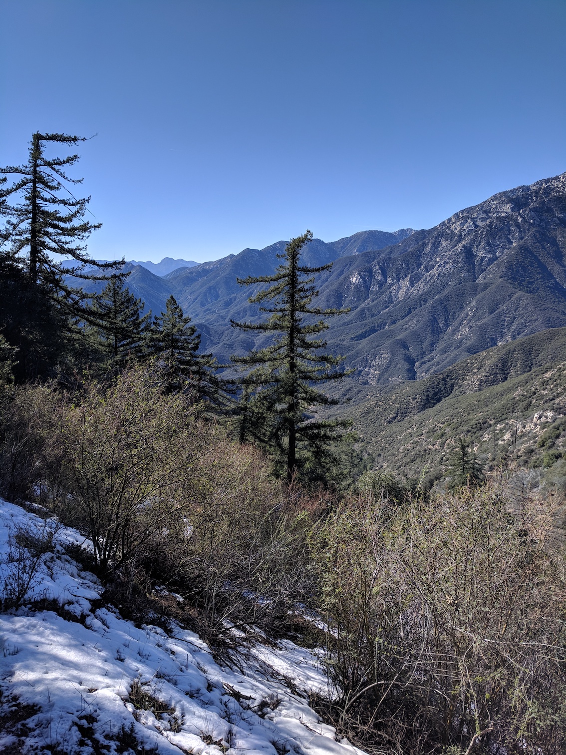 IMG_20190211_135645-resized