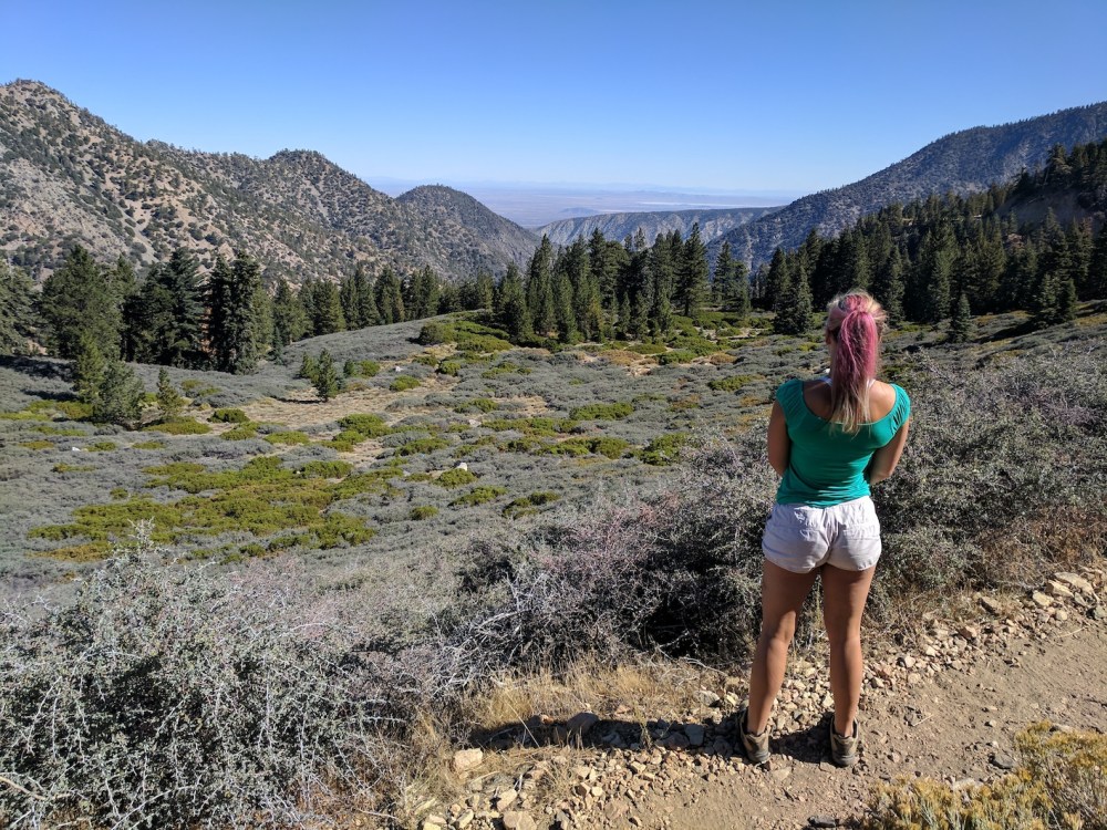 IMG_20170924_101440-resized