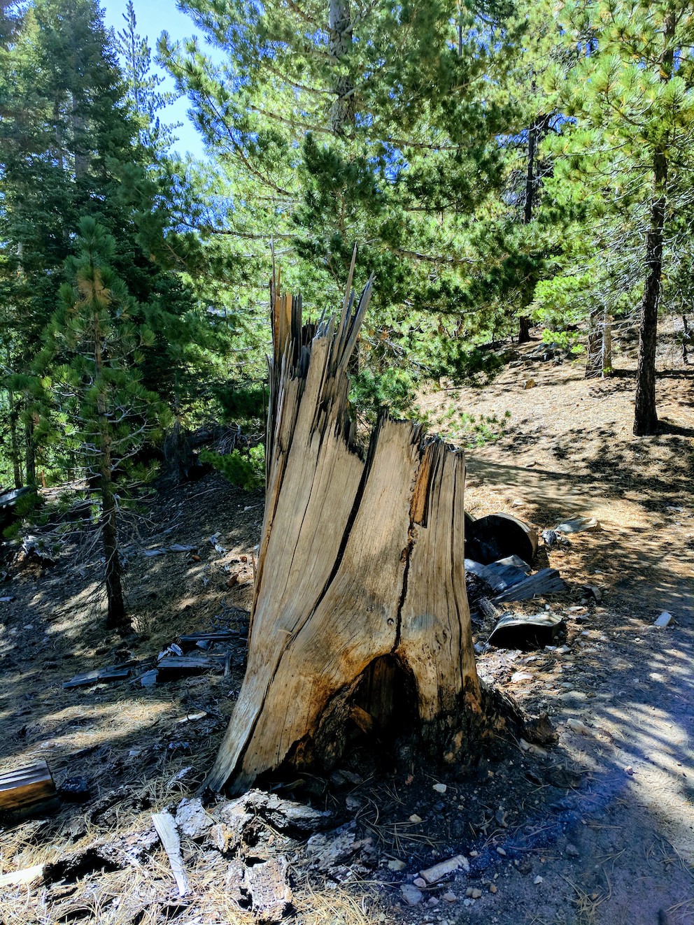 IMG_20170924_103144-resized