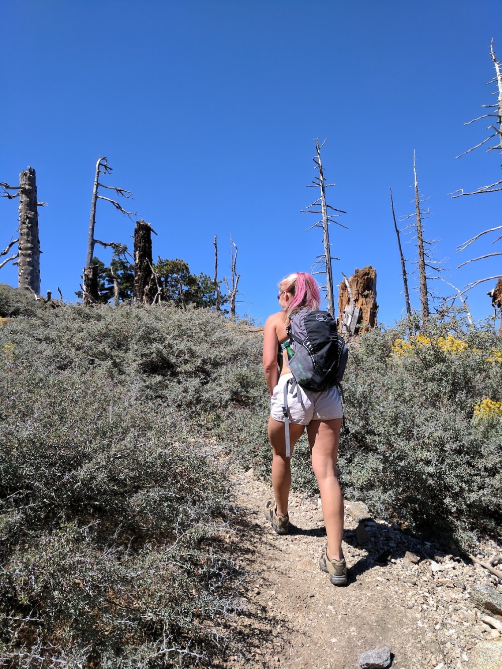 IMG_20170924_121940-resized