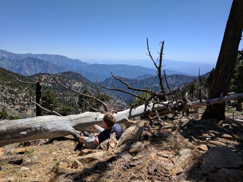 IMG_20170924_130811-resized