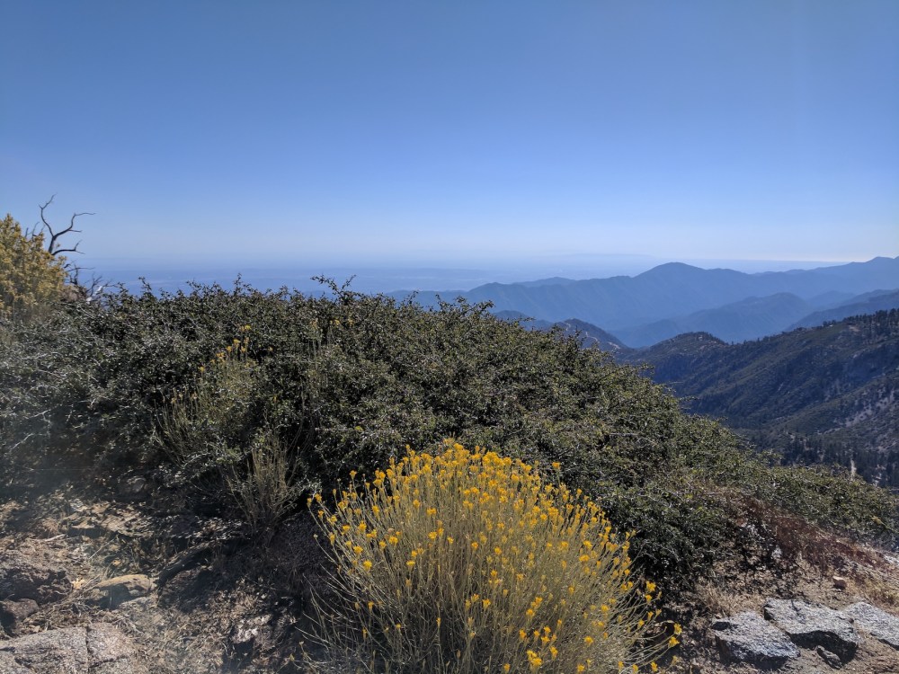 IMG_20170924_150950-resized