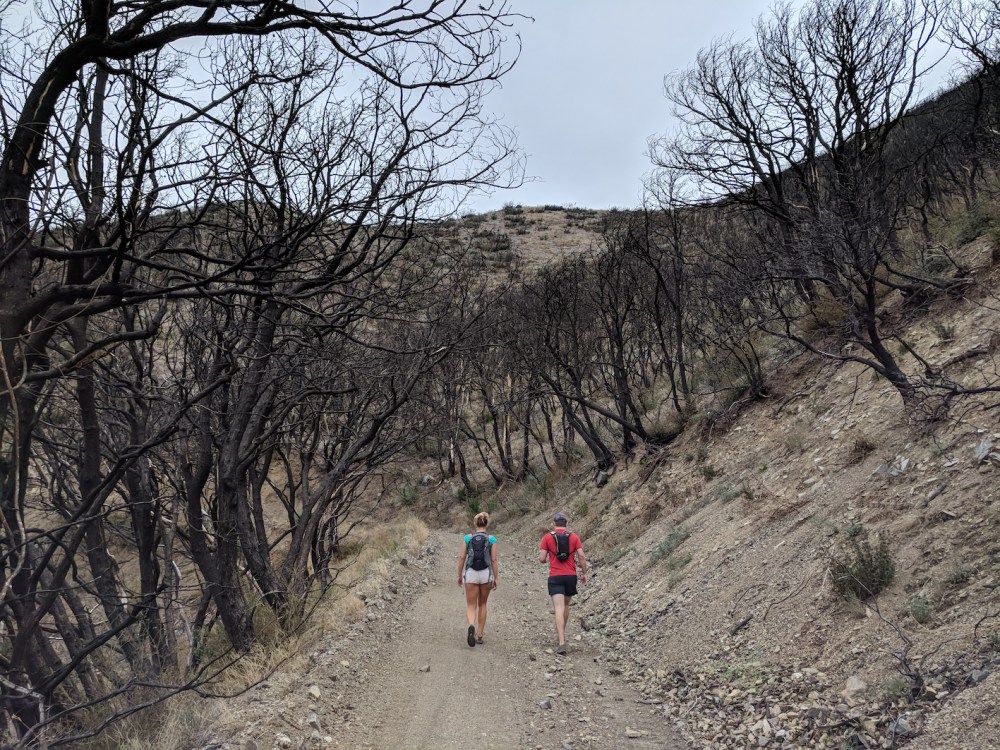 IMG_20171112_101912-resized