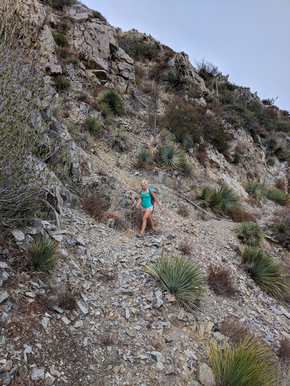 IMG_20171112_112902-resized