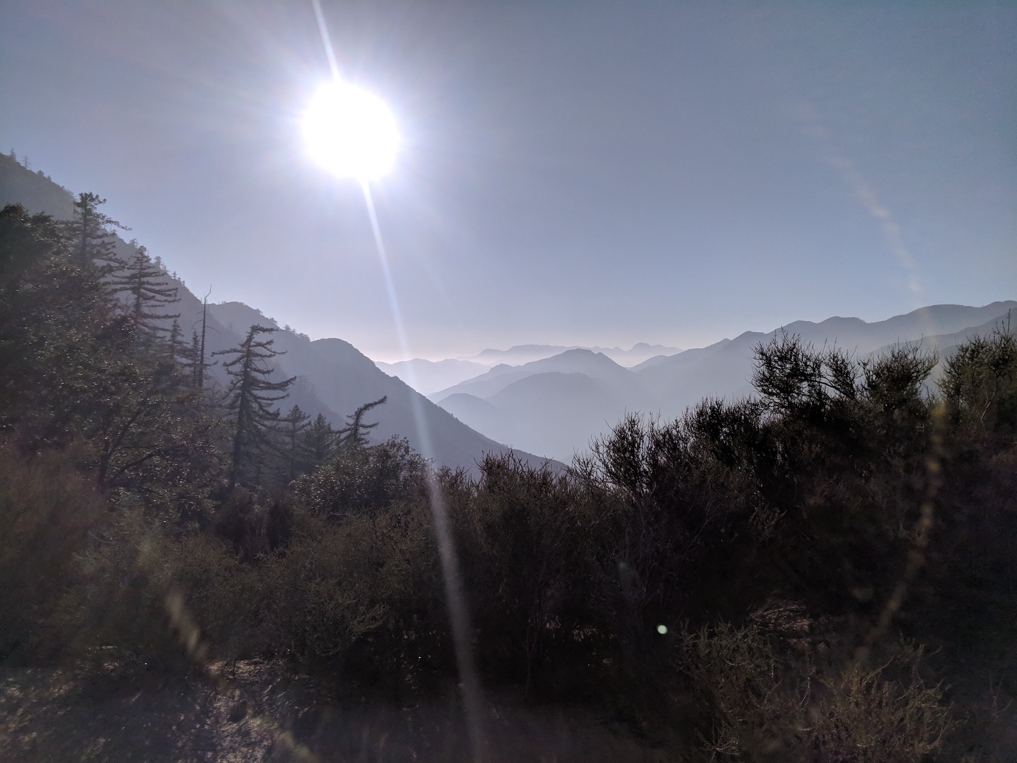 IMG_20181107_152036-resized