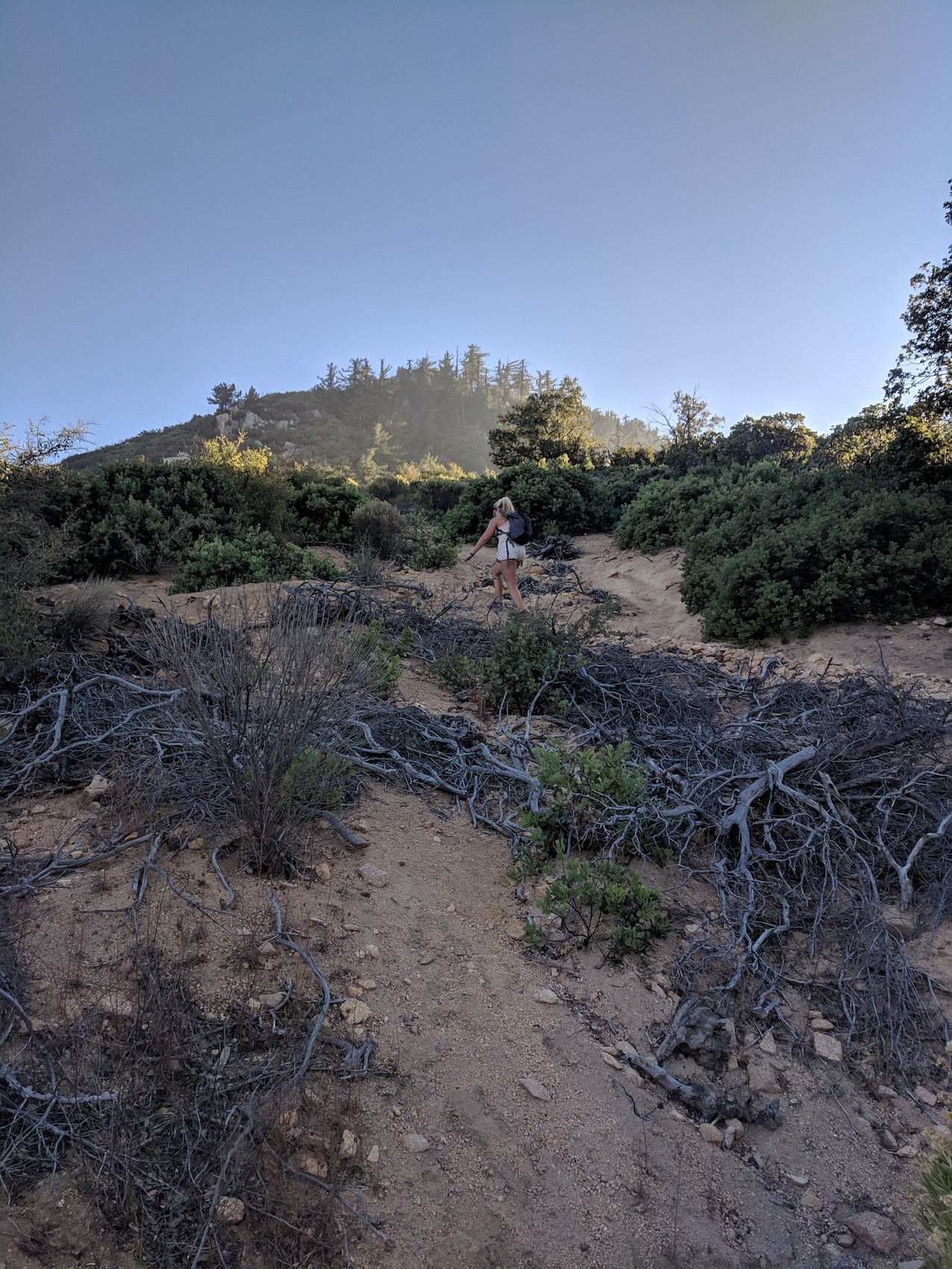 IMG_20181107_152335-resized