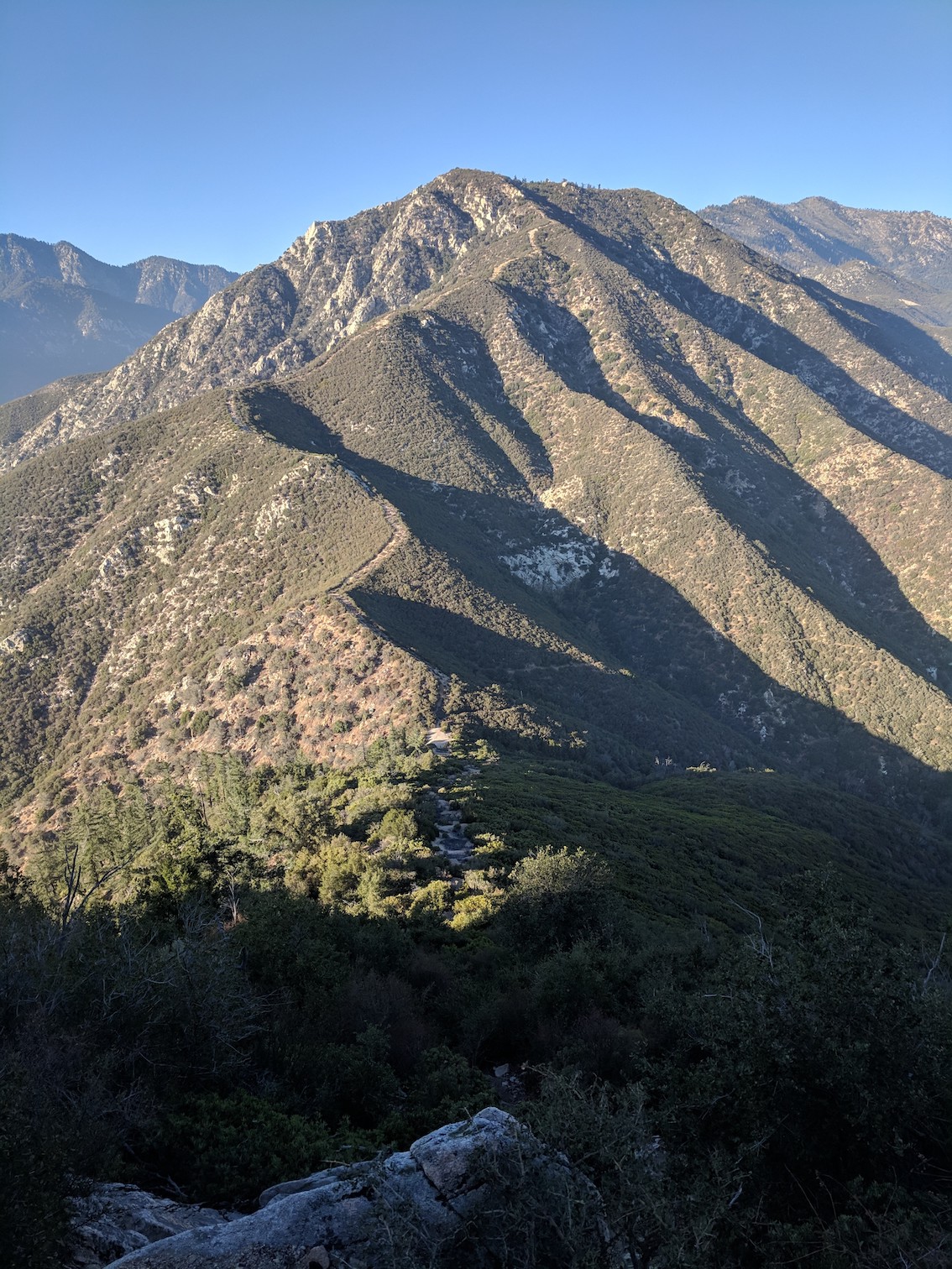 IMG_20181107_153208-resized