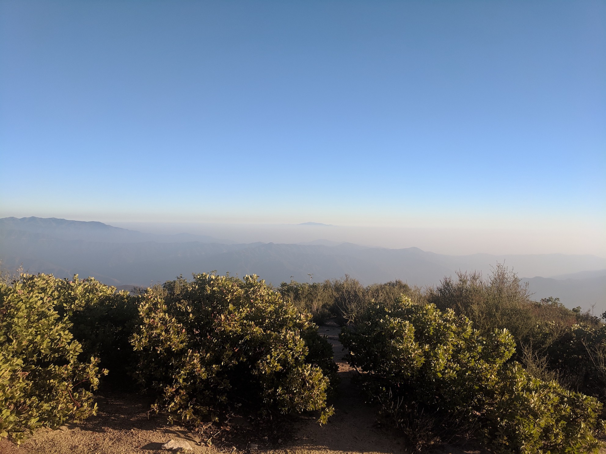 IMG_20181107_160647-resized