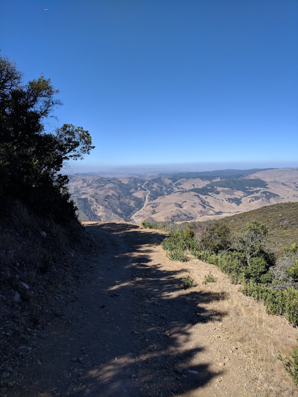 IMG_20171021_110022-resized