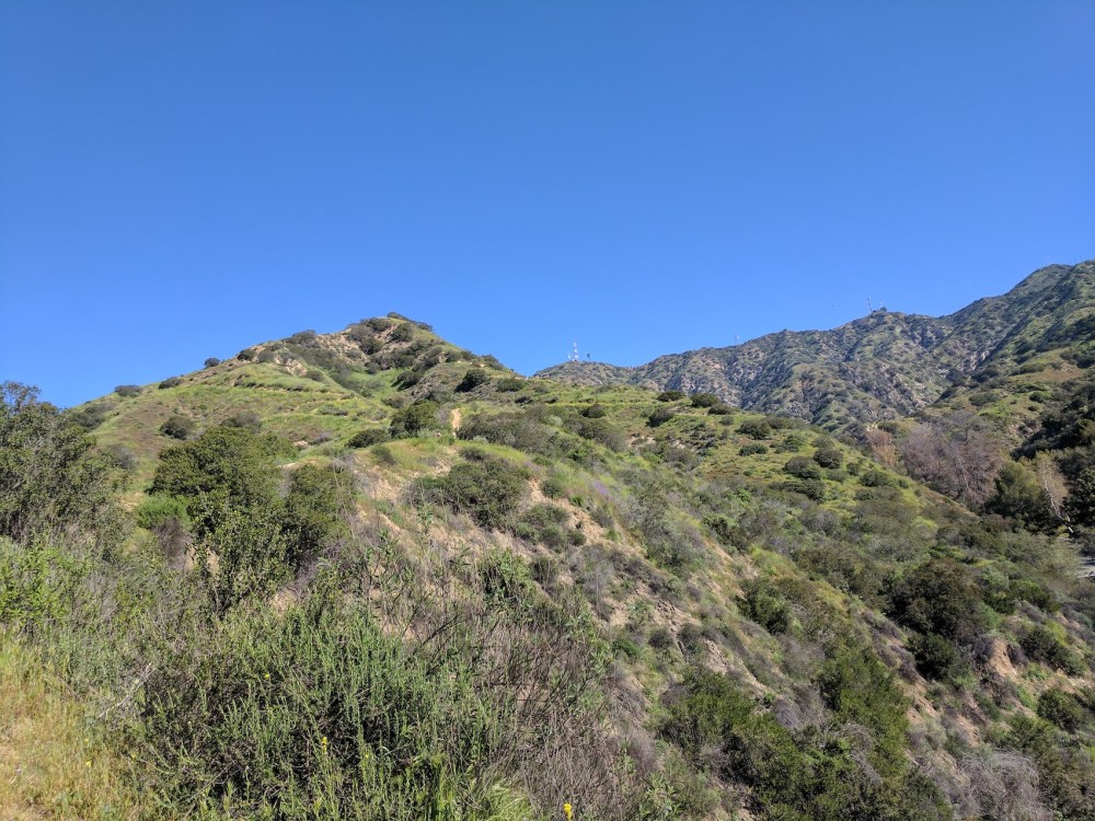 IMG_20170312_104846-resized