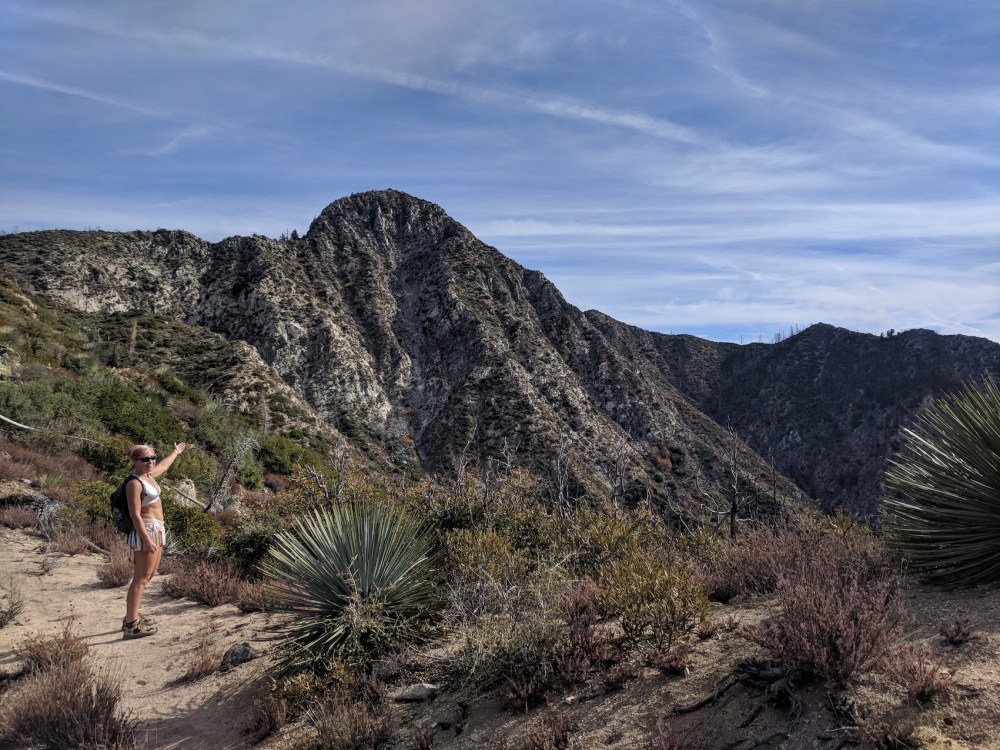 IMG_20171123_102425-resized