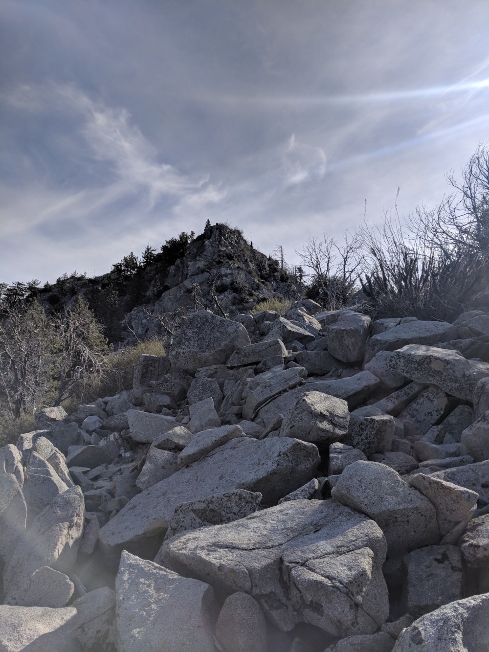 IMG_20171123_113123-resize