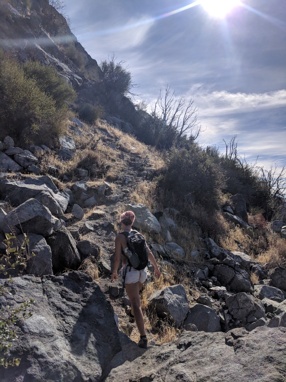 IMG_20171123_113915-resized