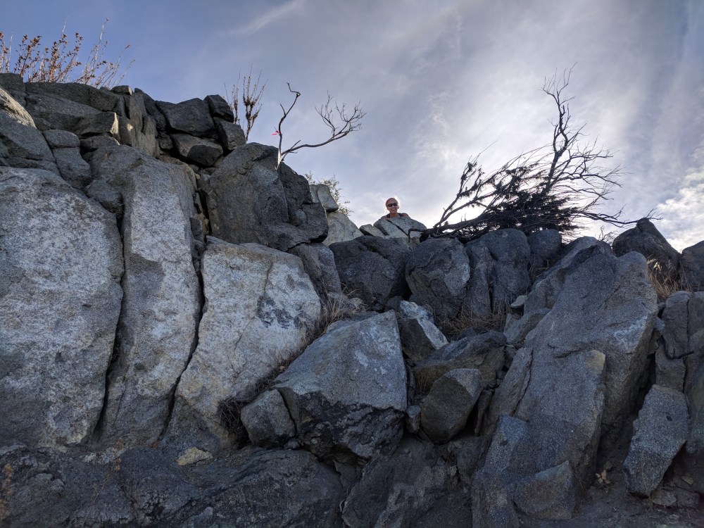 IMG_20171123_114601-resized