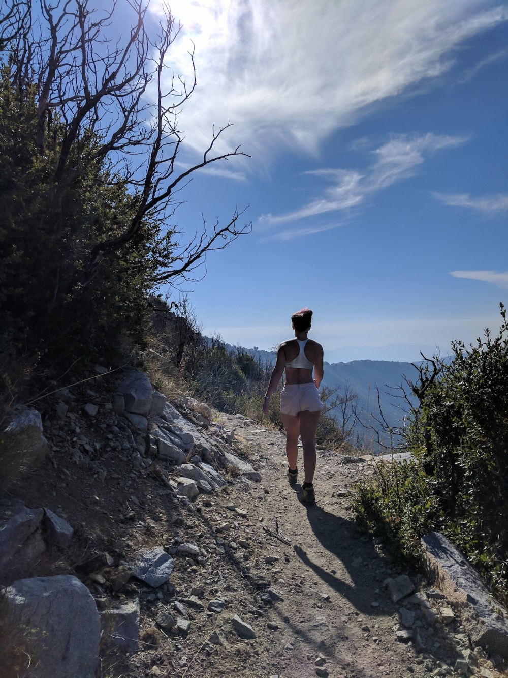 IMG_20170930_153818_resized