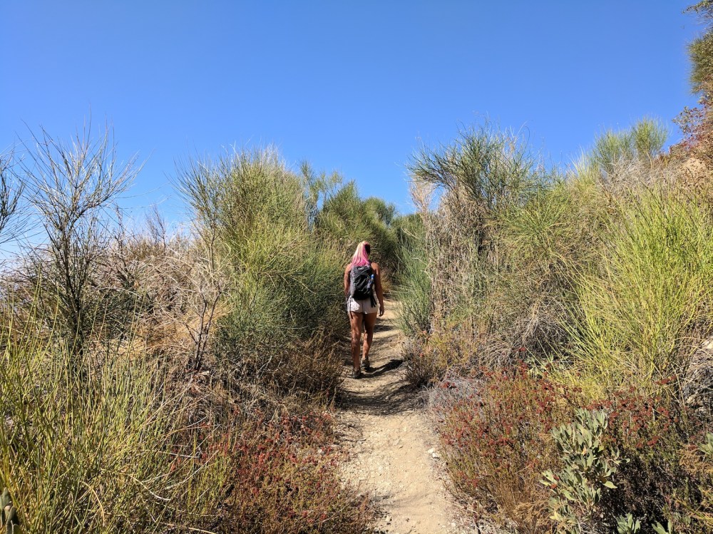 IMG_20171015_121341_resized