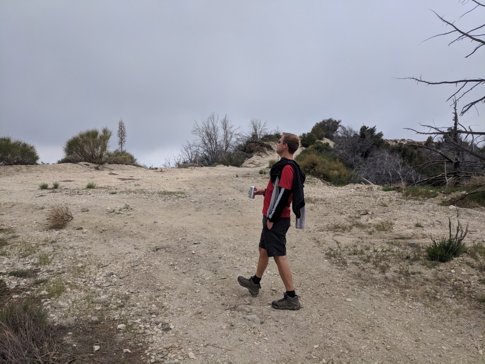 IMG_20180429_142349_resized