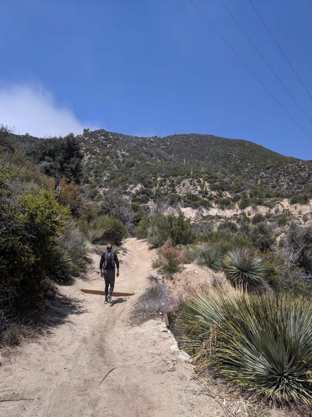 IMG_20190509_133323-resized