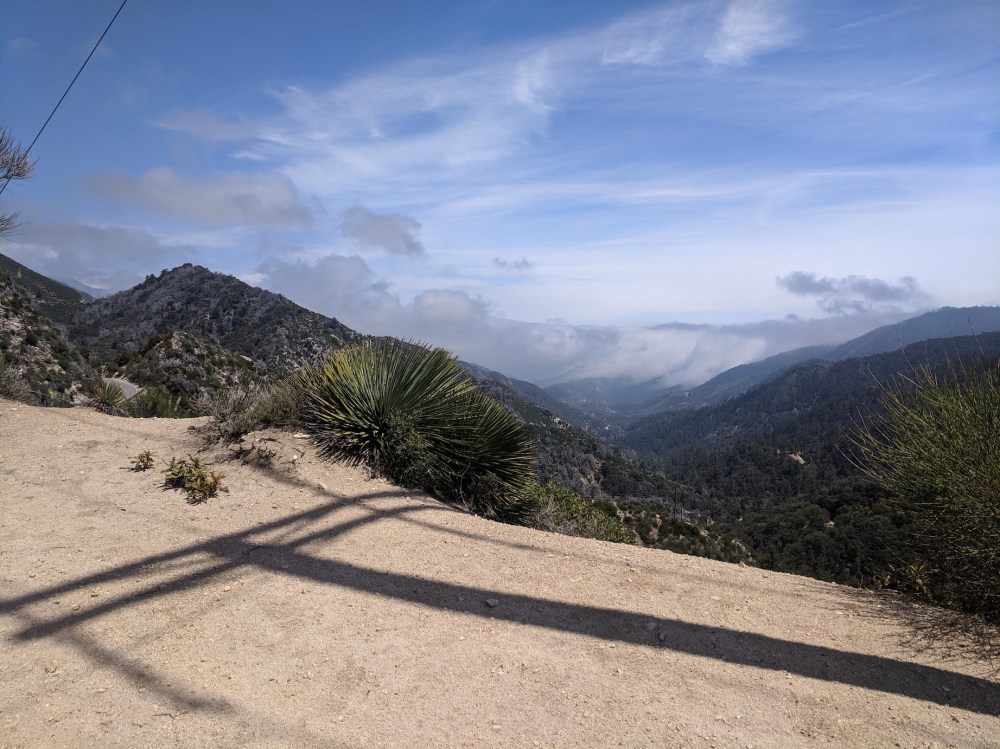 IMG_20190509_133558-resized