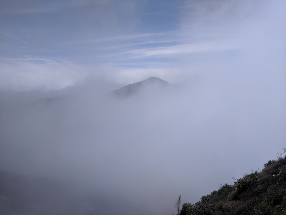 IMG_20190509_140339_resized