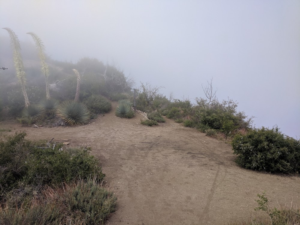 IMG_20190509_142508_resized