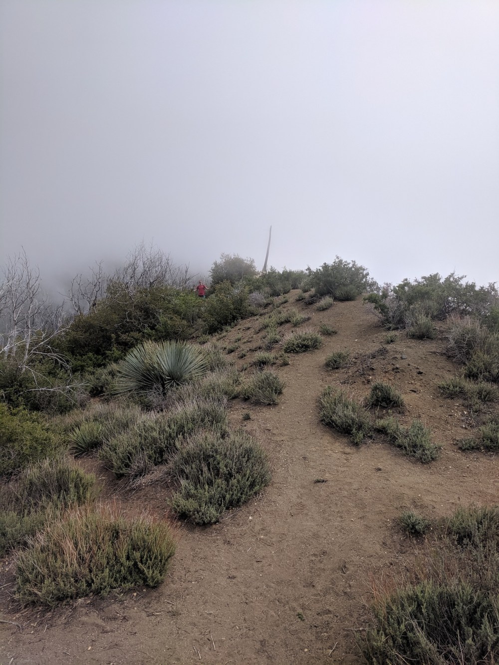 IMG_20190509_142518_resized