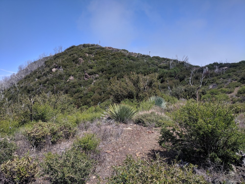 IMG_20190509_144849_resized