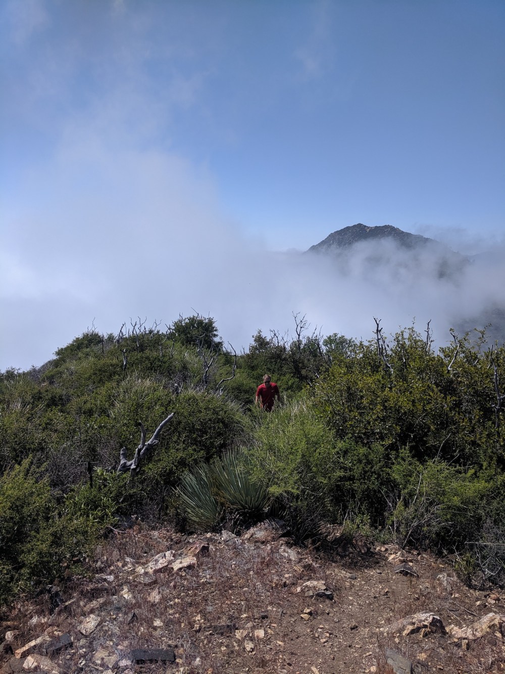 IMG_20190509_144854_resized