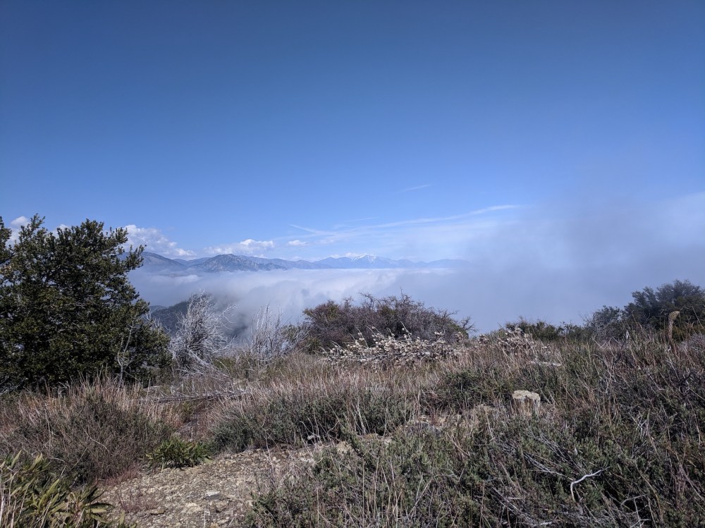 IMG_20190509_150140_resized