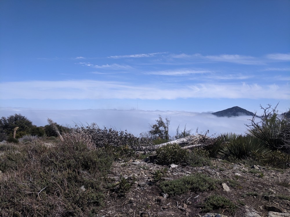 IMG_20190509_151309_resized