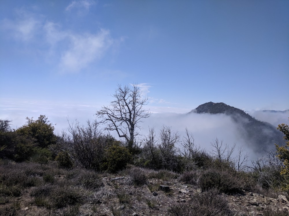 IMG_20190509_151330_resized