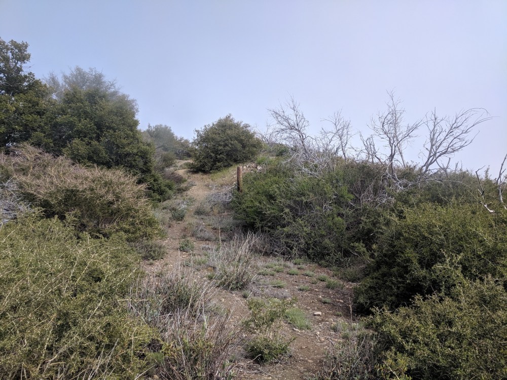 IMG_20190509_153629_resized