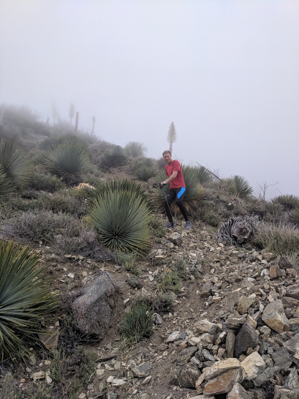 IMG_20190509_162914_resized