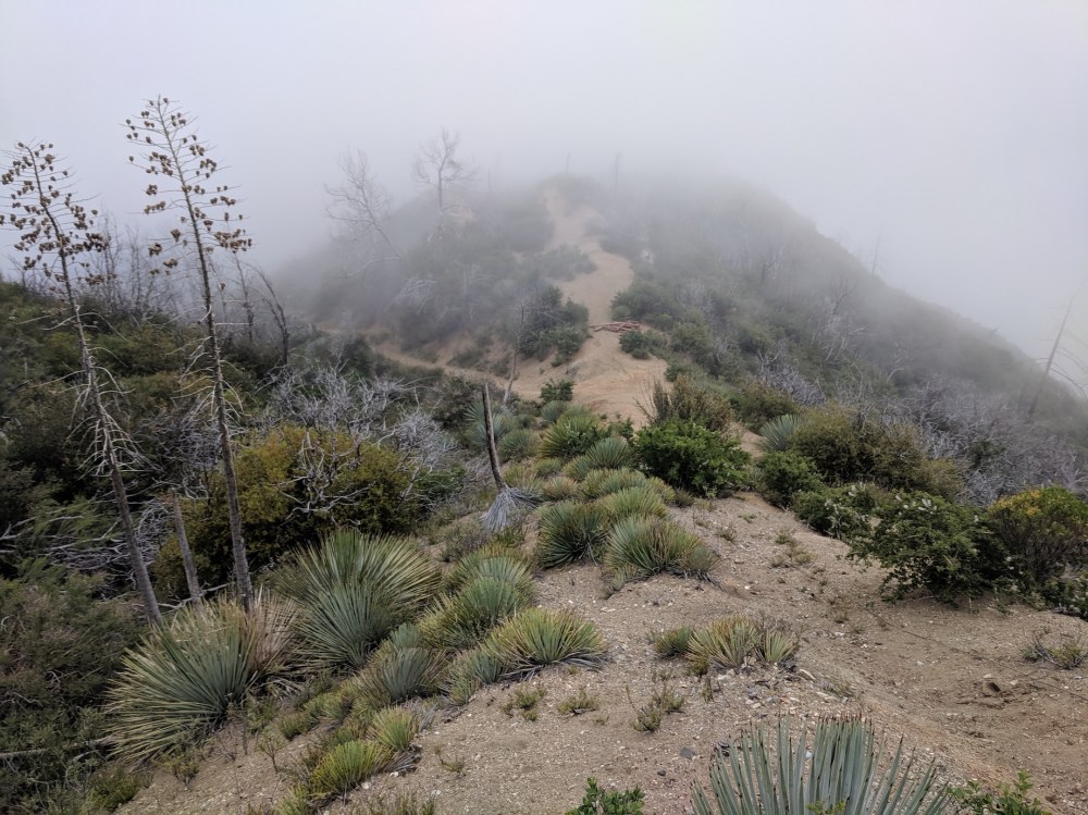 IMG_20190509_163758_resized