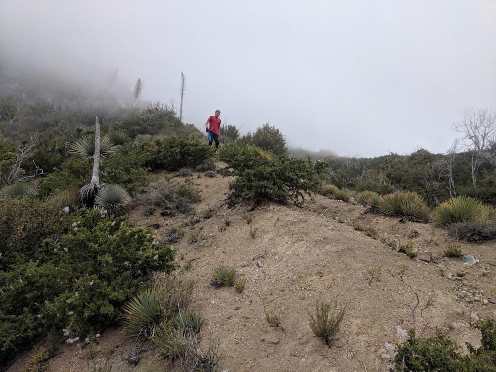 IMG_20190509_163821_resized