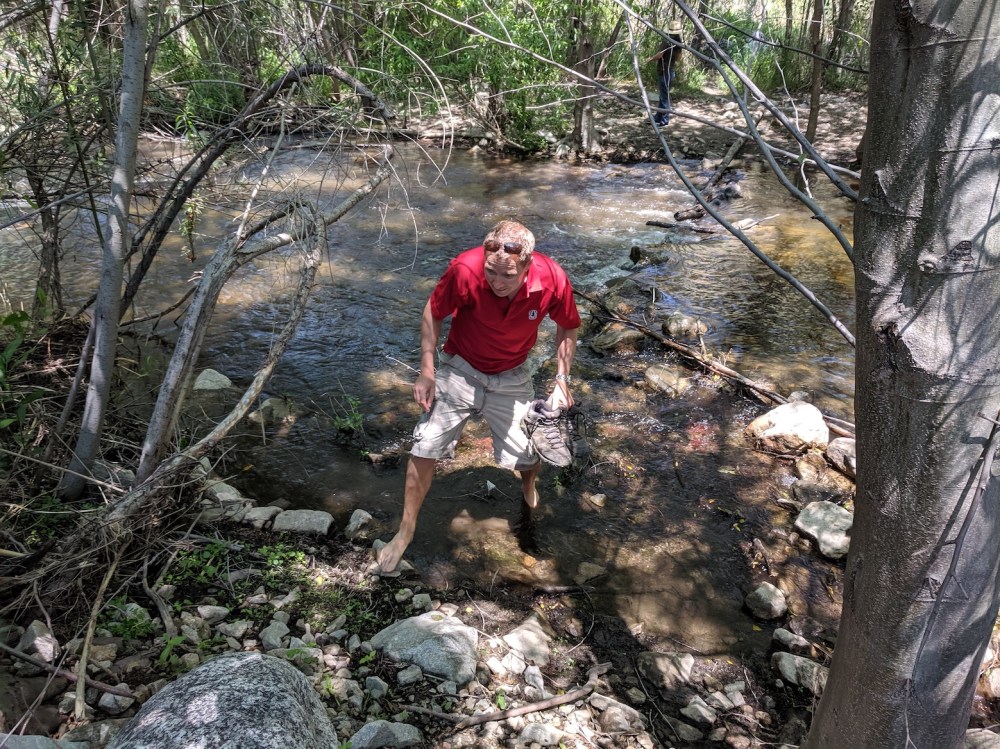 IMG_20190512_122812_resized