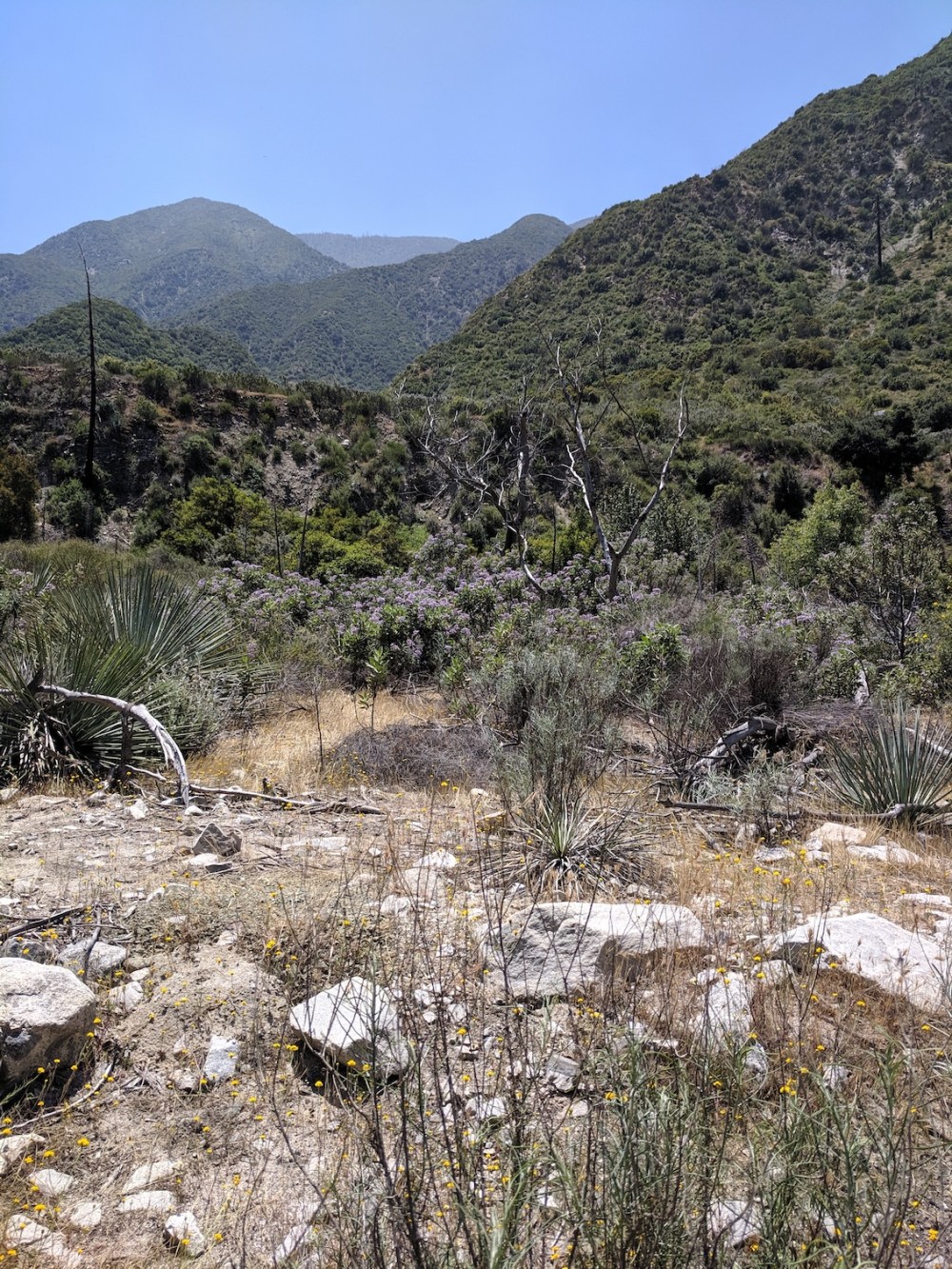 IMG_20190512_122841_resized