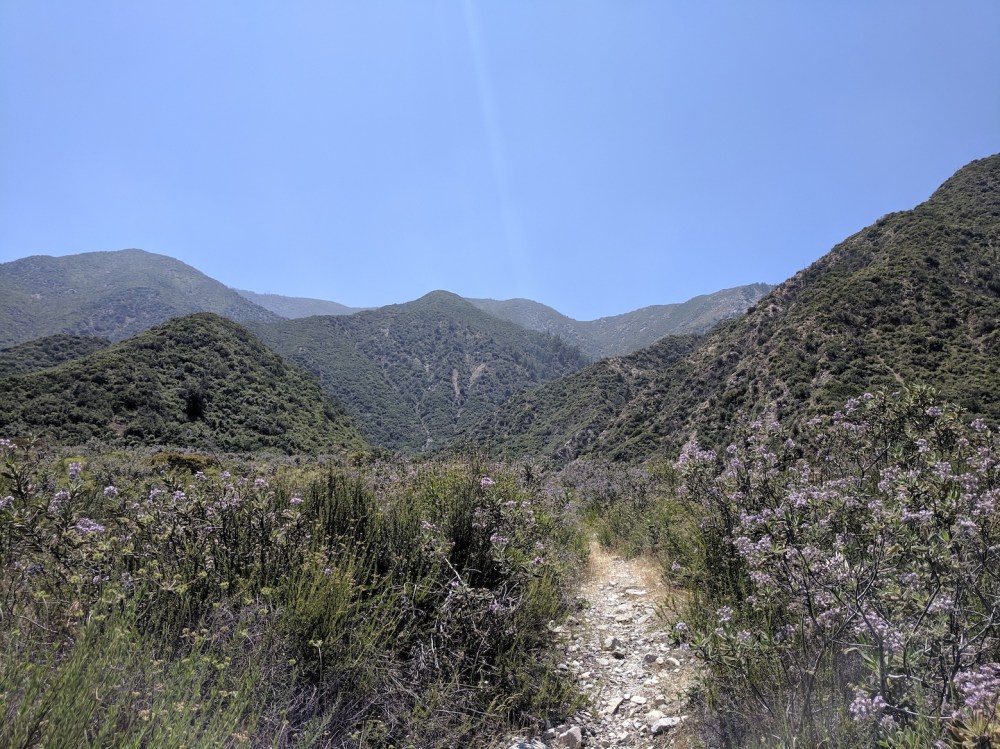 IMG_20190512_123634_resized