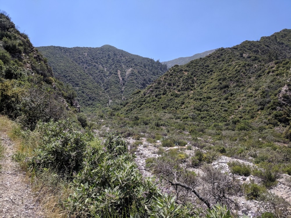 IMG_20190512_124242_resized