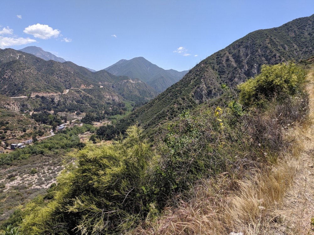 IMG_20190512_124611_resized