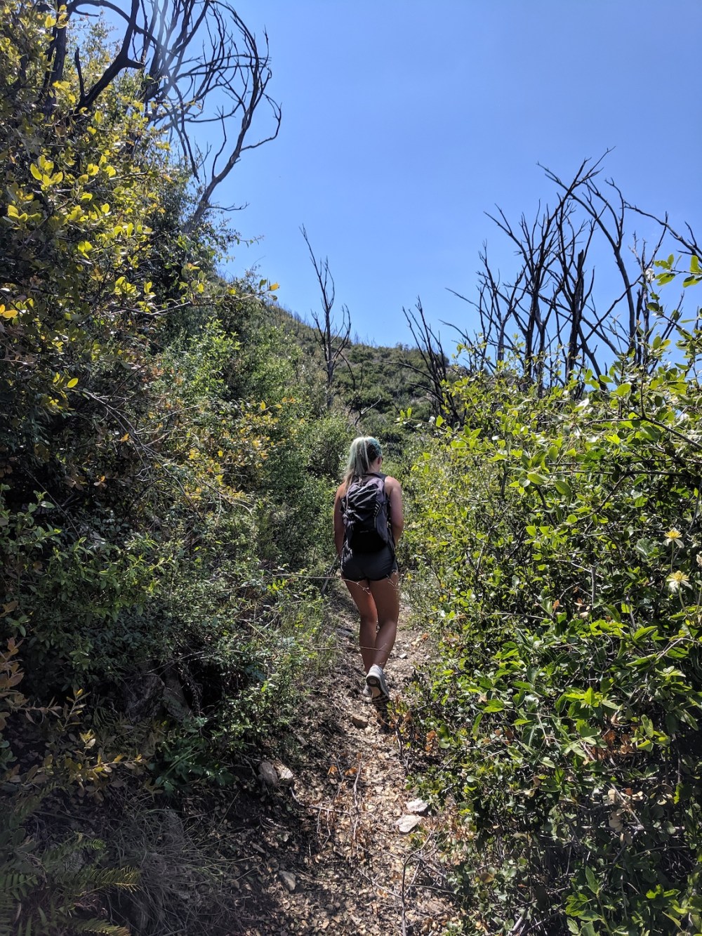 IMG_20190512_140345_resized