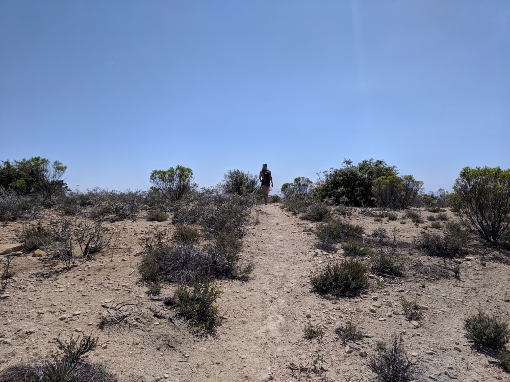 IMG_20190512_142901_resized