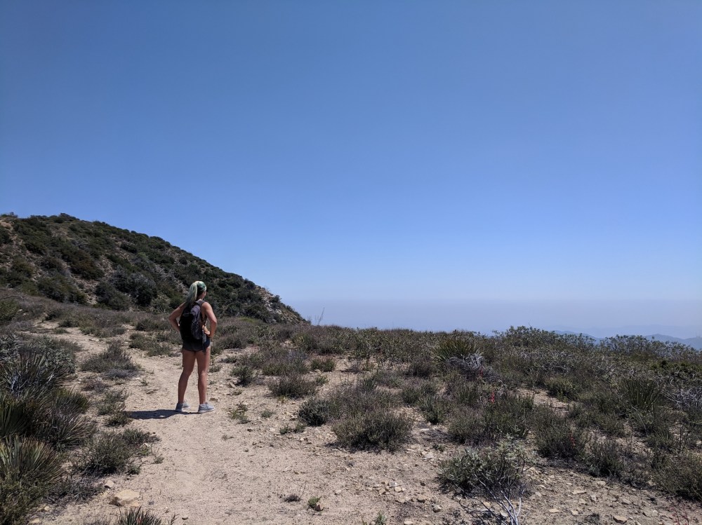 IMG_20190512_142947_resized