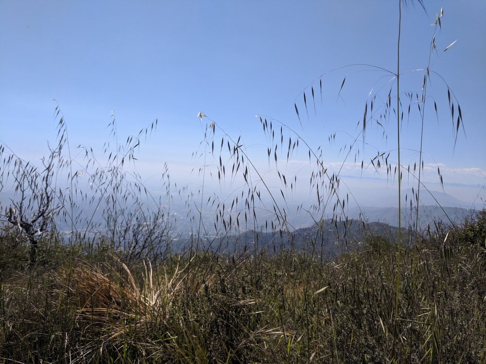 IMG_20190512_150120_resized