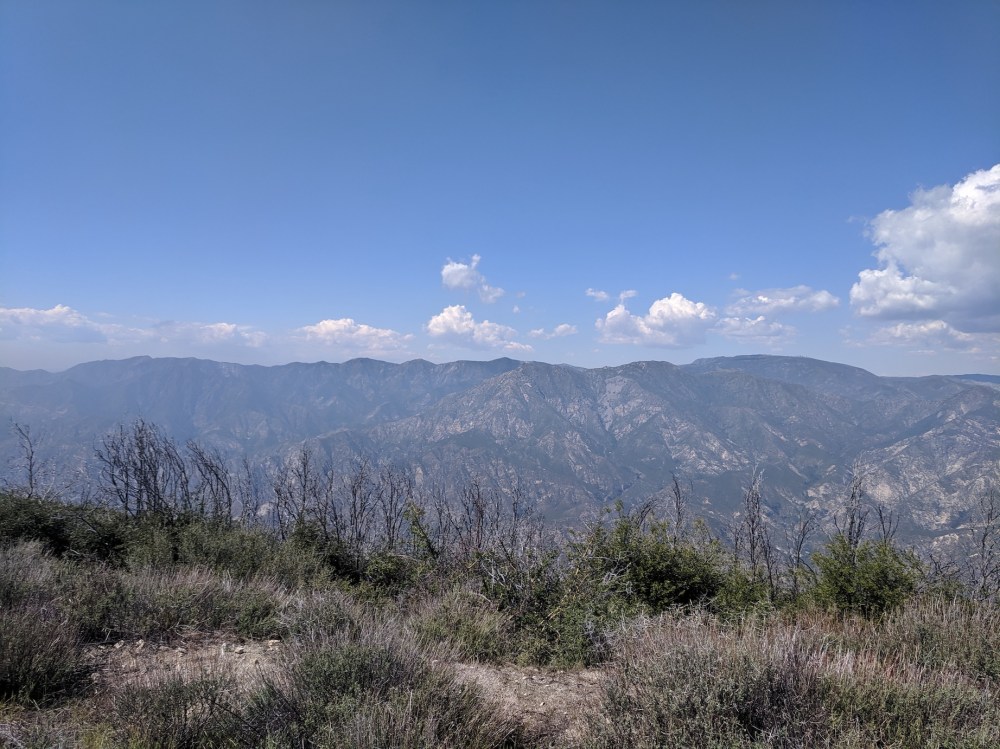 IMG_20190512_152455_resized